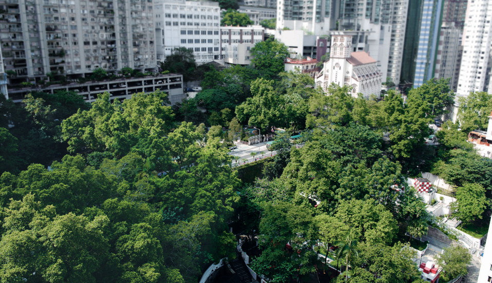 ARGENTA Swire Properties / MidLevels / Central Business District